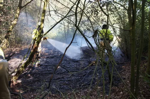 1593097986 picsay 1024x682 1