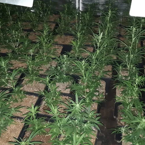 172888717 2863163887258187 8161627067362479101 n