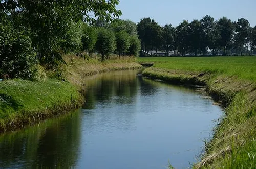 180651226 4223448104373207 295257013063369447 n