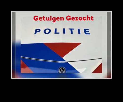 197735134 151043570390204 3128370977378751527 n