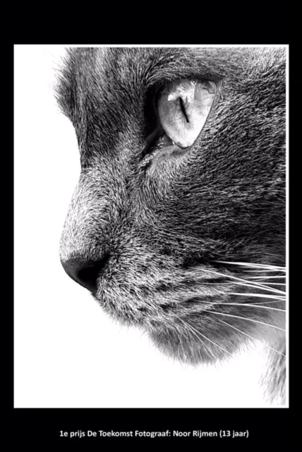 1e prijs de toekomst