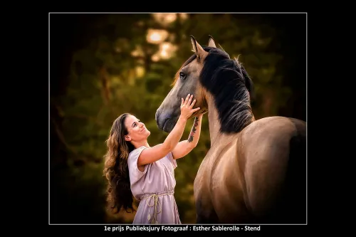 1e prijs publieksprijs