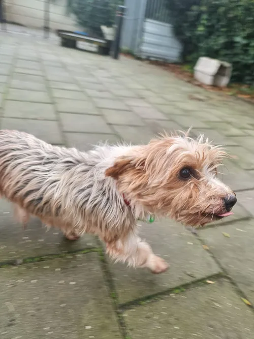 1fb8d70c a22e 4f1b bccd 2dc23011ed14