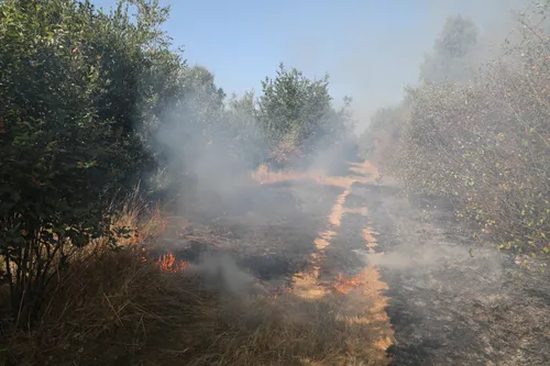 20180723104535 fpmb9371