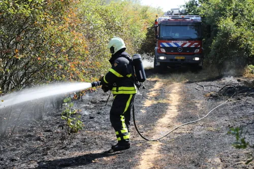 20180723105622 fpmb9395 1024x683