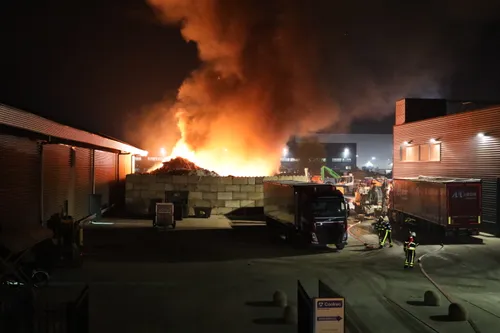 20191031023107 fpmb1569