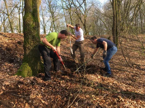 2020 03 11 amerikaanse vogelkers uitsteken aan de heidijk img 4723