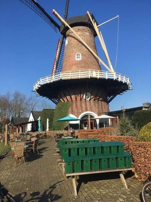 2020 03 11 kasten voor de molen in nieuwkuijk img 4691