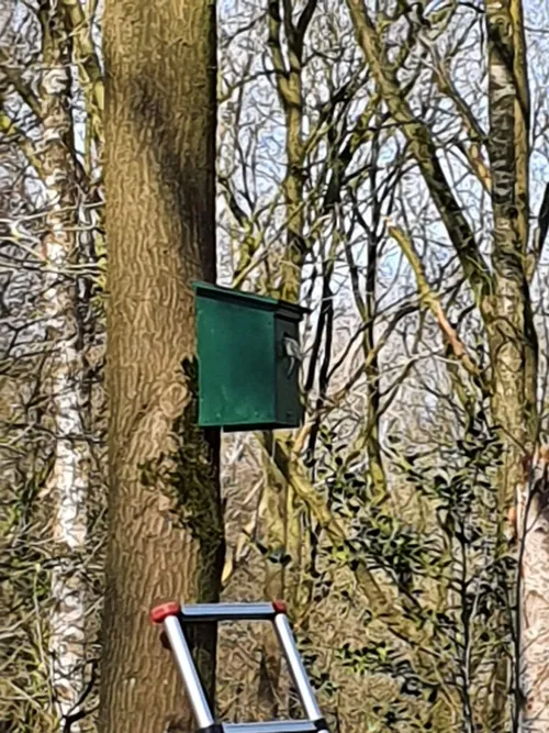 2020 03 11 pimpelmees onderzoekt nieuwe kast