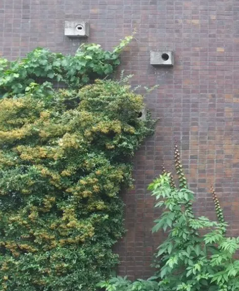 2020 04 29a natuurinclusief bouwen