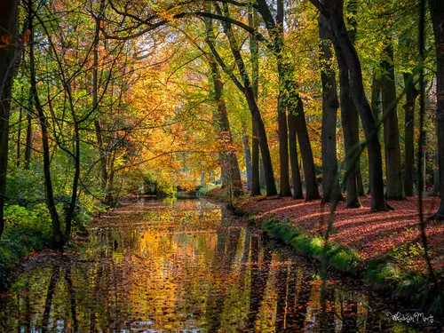 2020 11 18a slotgracht steenenburgh foto wilhelmien marti pb060011