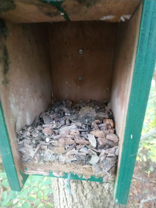 2020 11 25b nmvh persbericht epr 2020 nest boomklever