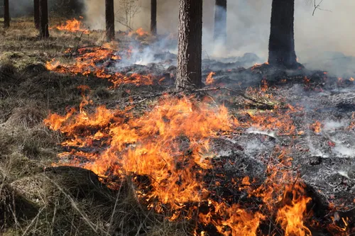 20200421154633 fpmb5250