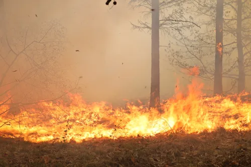 20200421155446 fpmb5266