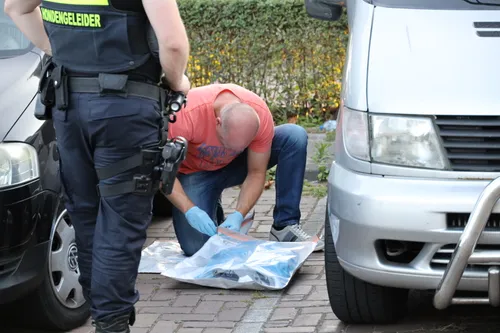 20200807204241 fpmb6493