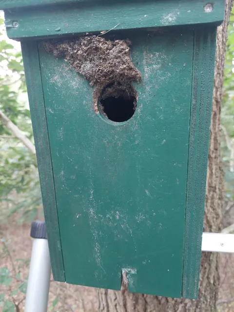 2021 10 06b epr en nestkasten 2021 nestkast bezet door boomklever