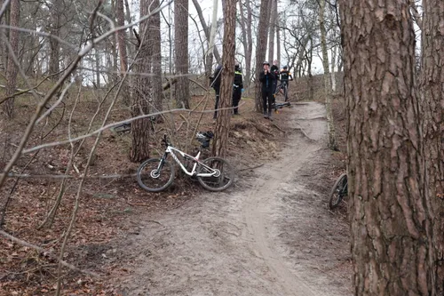 20210206122647 fpmb0334