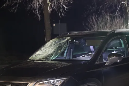 20210219203115 fpmb0434