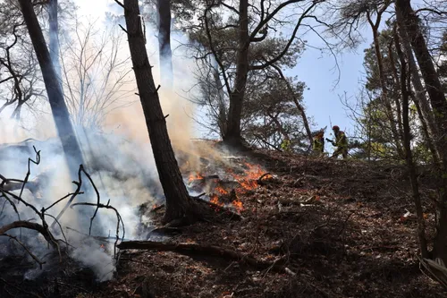 20210425132635 fpmb1120