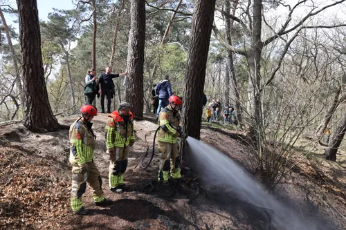 20210425133441 fpmb1137