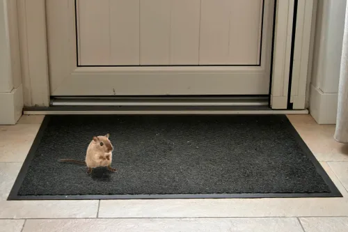 202302 2 voorwerpen die 1 woord vormen marion willems