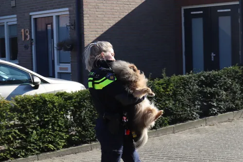 20230228150348 img 3052