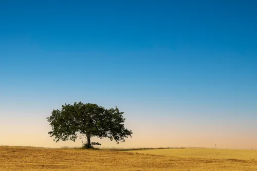 202306 negatieve ruimte karel van drunen