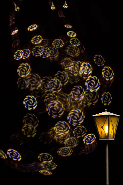 202312 creatieve bokeh marion