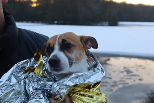 20240120164452 img 6860