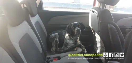 235135797 105661711828377 6091896100994132951 n