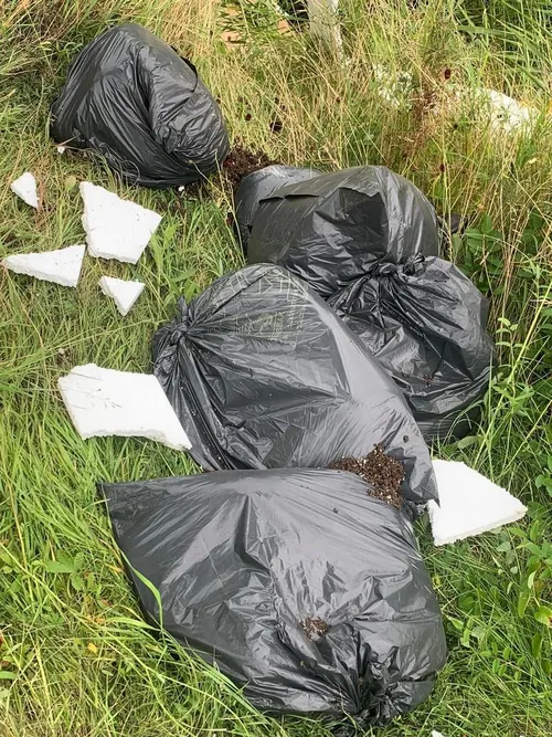 235877169 195312852636228 474204398913241685 n