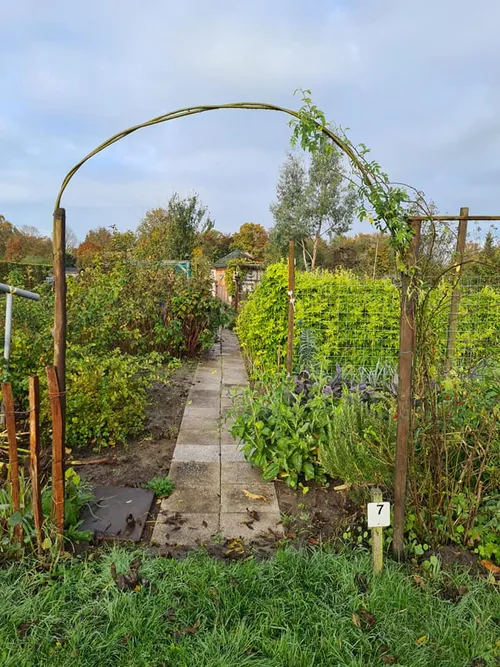 253313702 2885773728403173 5955617371934816542 n