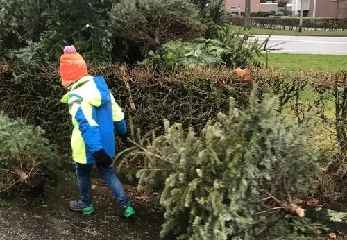 271527648 290125546488291 4519738927491702397 n