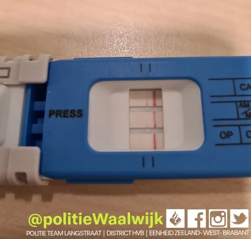 274917559 316224290538797 2161077282835510408 n