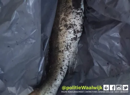 278794020 348011120693447 1219130915646746269 n