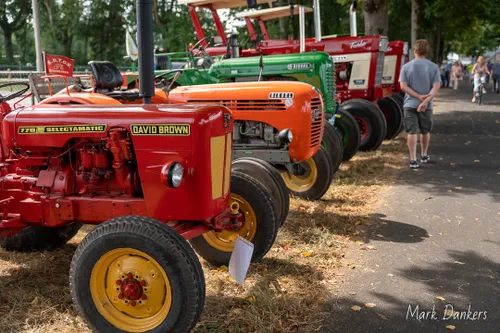 305967435 2223404114533053 2641154641365905817 n