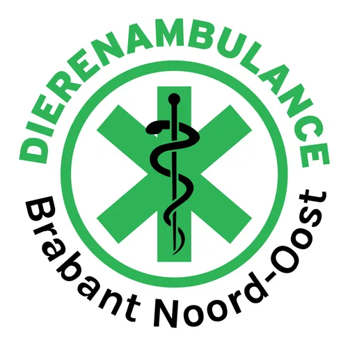 338423700 954371362365244 1359126868215340859 n