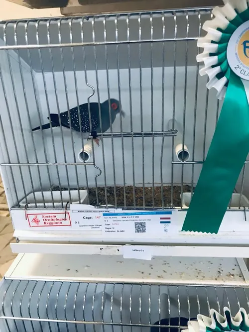 37d9f1f9 d897 4561 904a 2d8242ae4d8d