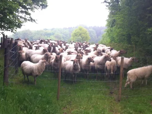 484454 459143647510493 1166301274 n