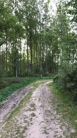 4deaf81d 07f5 4354 95ec ca2c244ffd50 4 5005 c