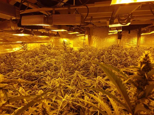 50989076 2221802461394336 1881558209542488064 o