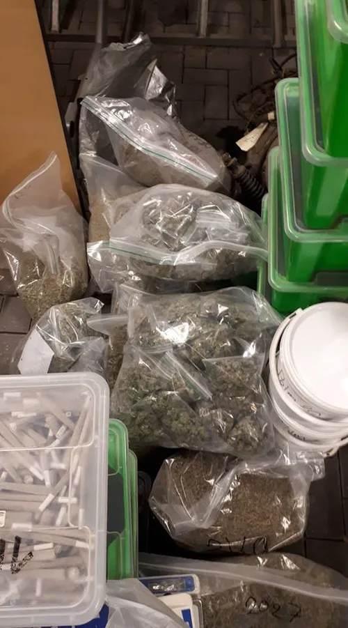 55826161 2262452267329355 657995273284354048 n