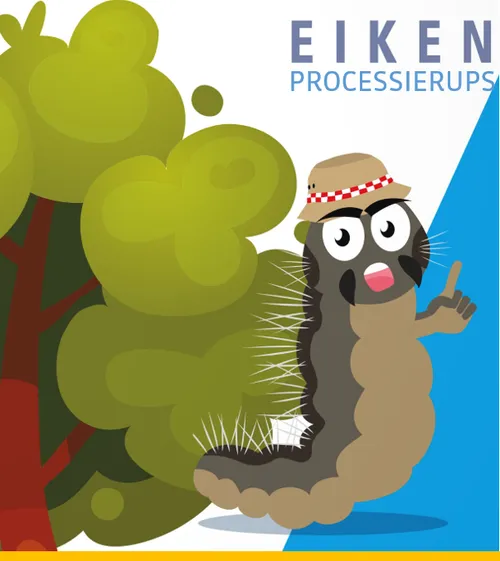 61816575 2206245659452993 3805287444538982400 n