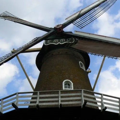 66396123 901666310180170 7781595380088569856 n