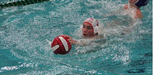 8c499f43 de4a 49ff 9690 91f40e69ac9a