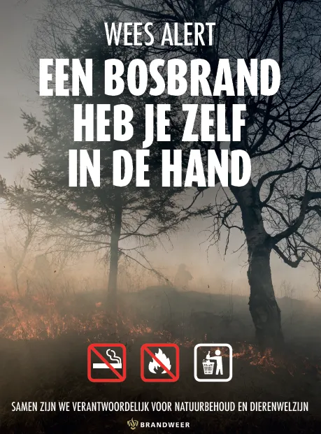 93835522 2880273862050166 6558503739181760512 n