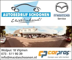 autobedrijfschoonen