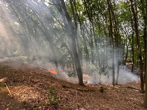 bart meesters 20230529140719 0