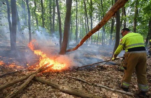 brand bos heidijk vlijmen 6