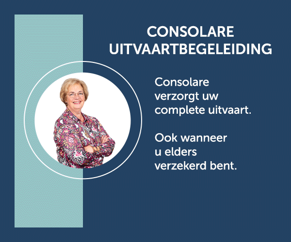 consolare pb 300x250 x2